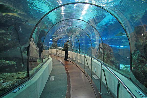 aquarium Barcelona