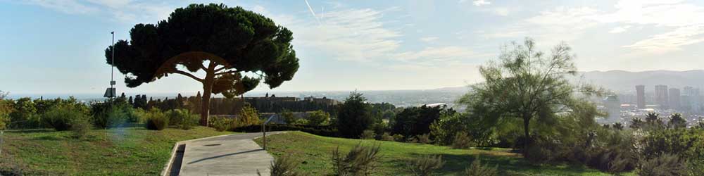 Botanical gardens of Barcelona