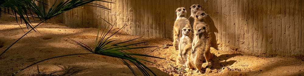 Zoo Barcelona